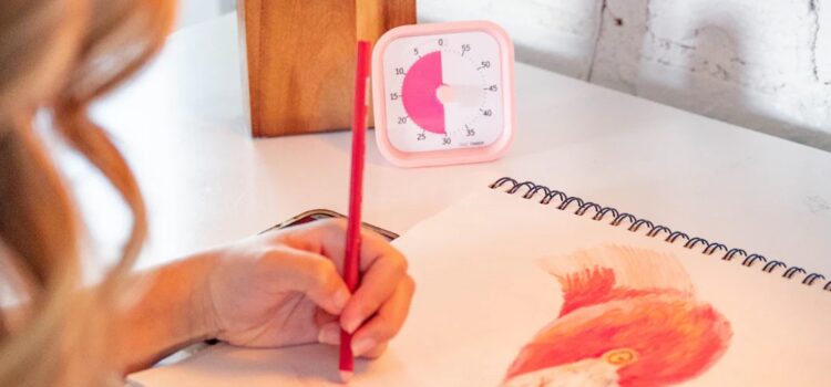 10 formas sorprendentes en las que la gente utiliza el Time Timer 10 formas sorprendentes en las que la gente utiliza el Time Timer